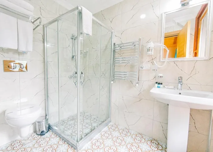 Hotel Acacia Mansion