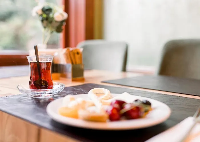 Hotel Acacia Mansion 3*