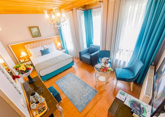 Отель Acacia Mansion Стамбул