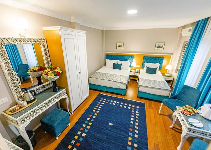 Acacia Mansion Отель Стамбул