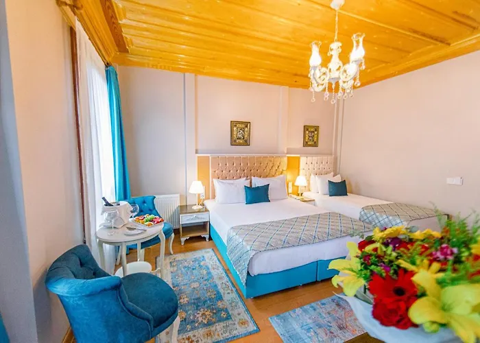 Отель Acacia Mansion